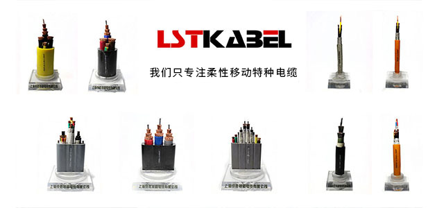 專注移動(dòng)柔性特種電纜